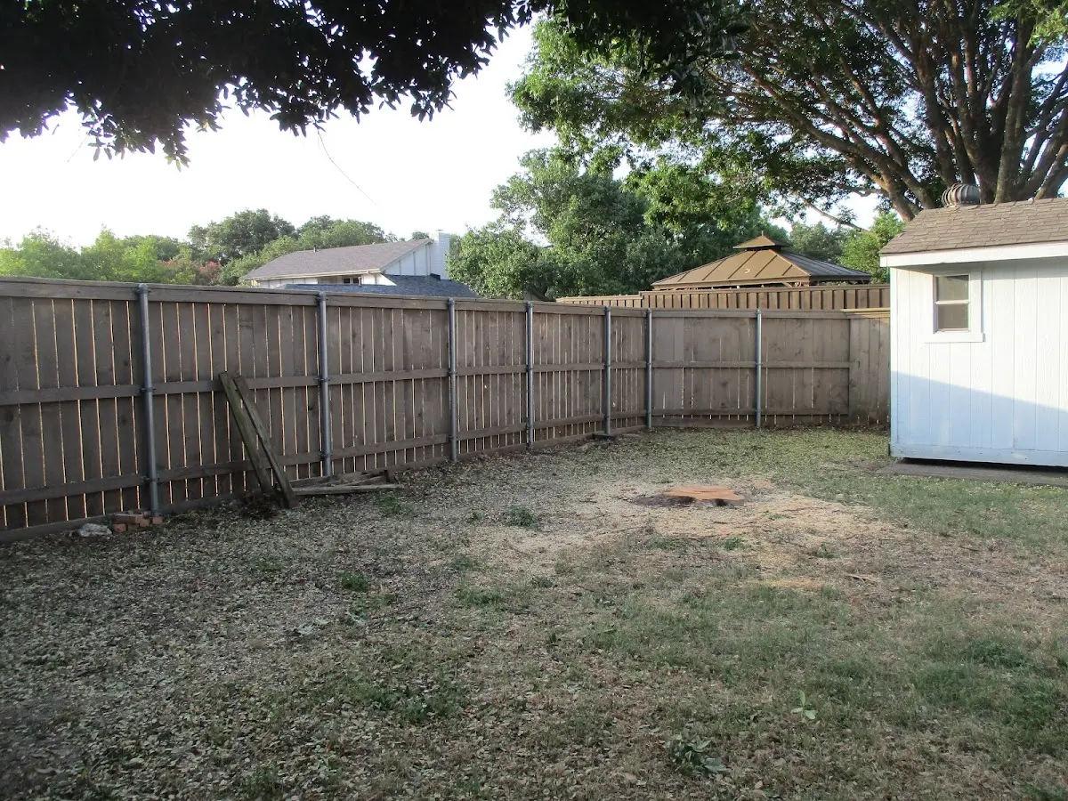 Cleared yard after professional tree removal in Hutto
